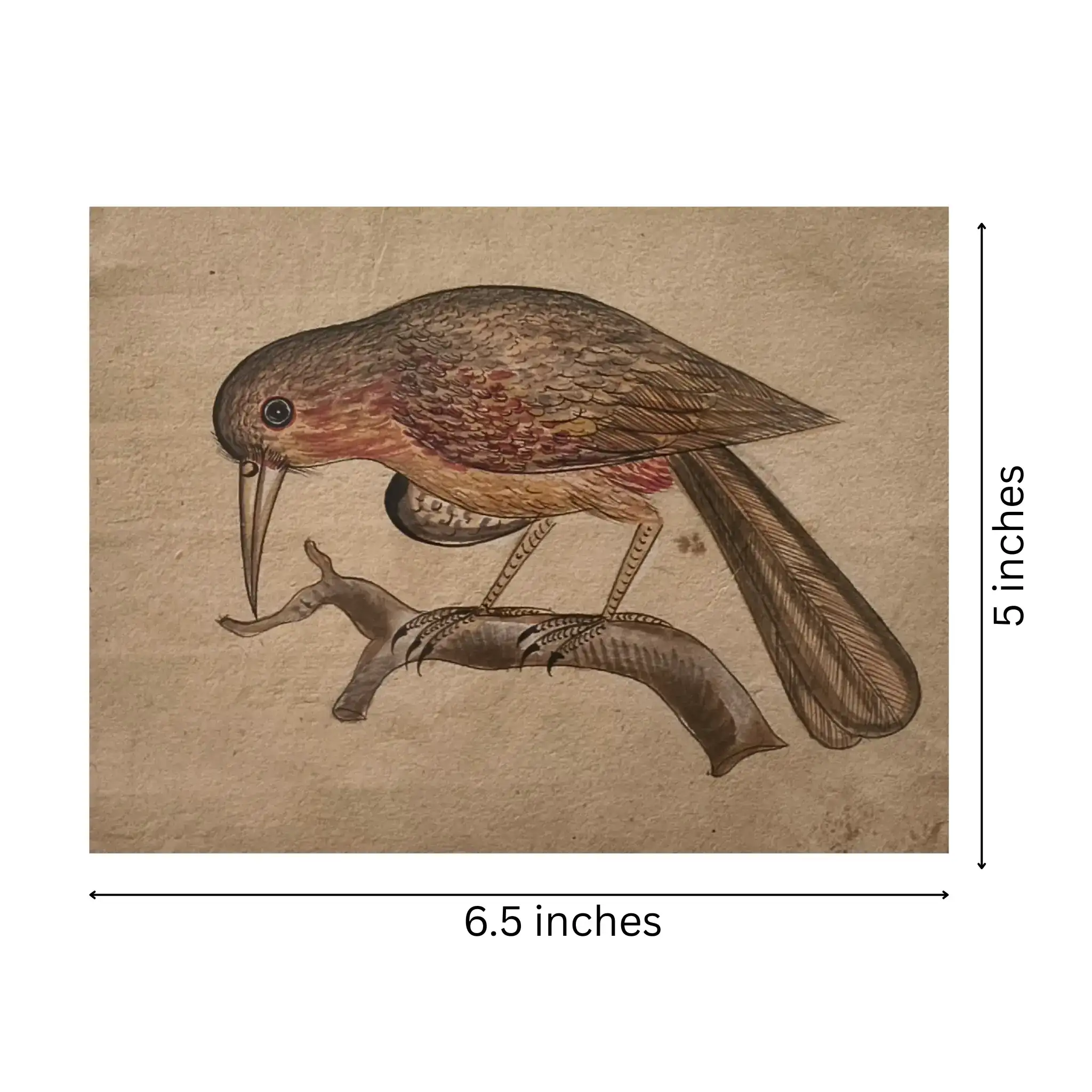 Traditional Indian Bird Miniature Painting - Image 3