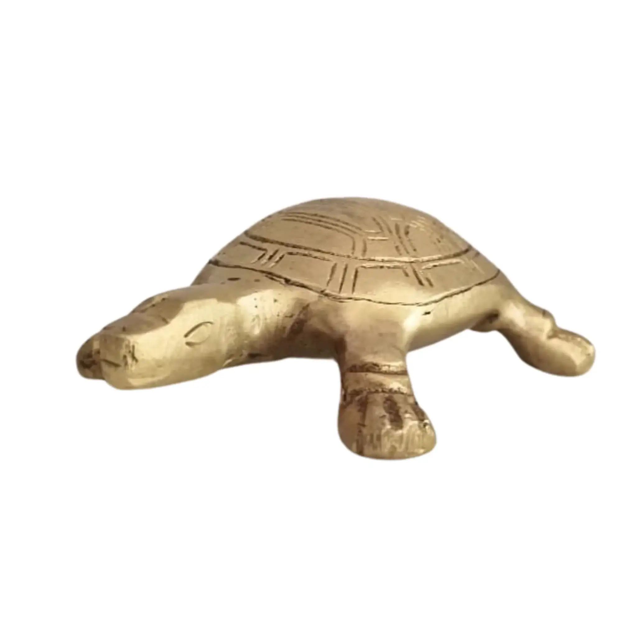 Tortoise sculpture - Decorative Brass Sculpture - Image 19