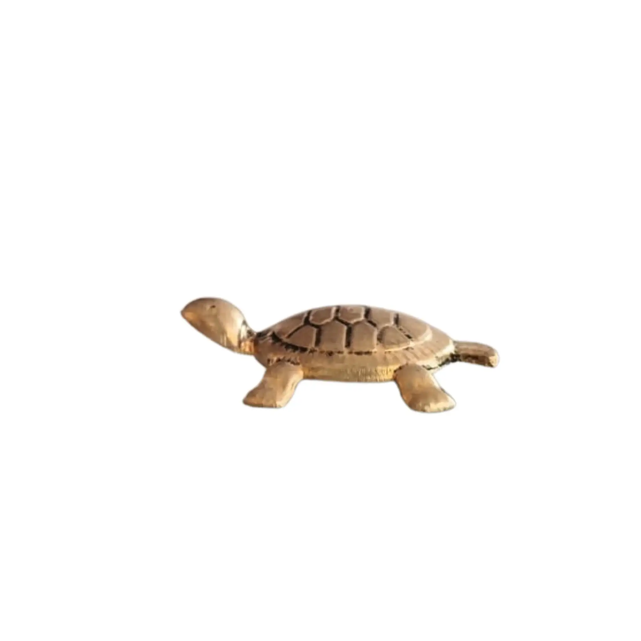 Tortoise sculpture - Decorative Brass Sculpture - Image 6
