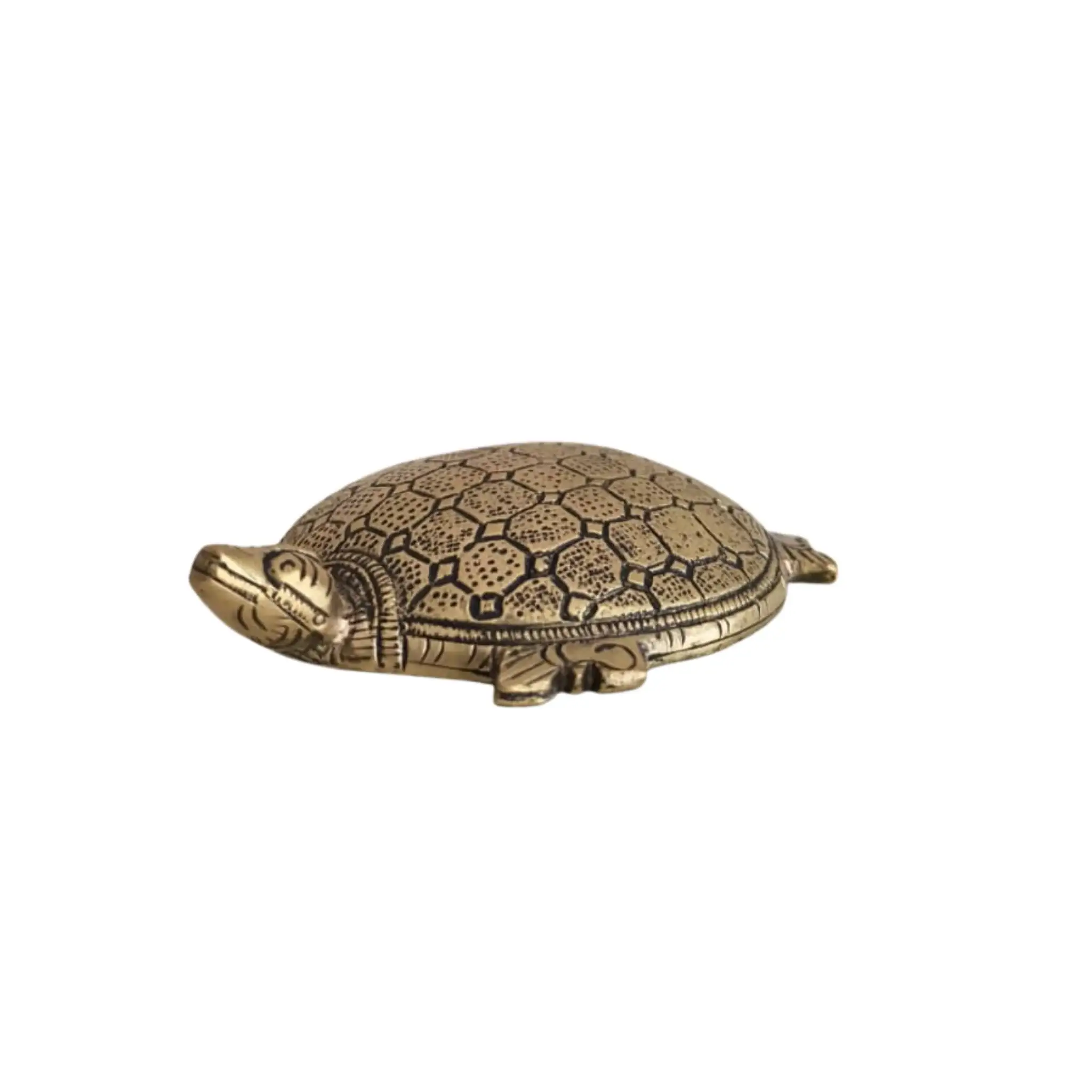 Decorative Brass Tortoise (Turtle) Showpiece - Image 4
