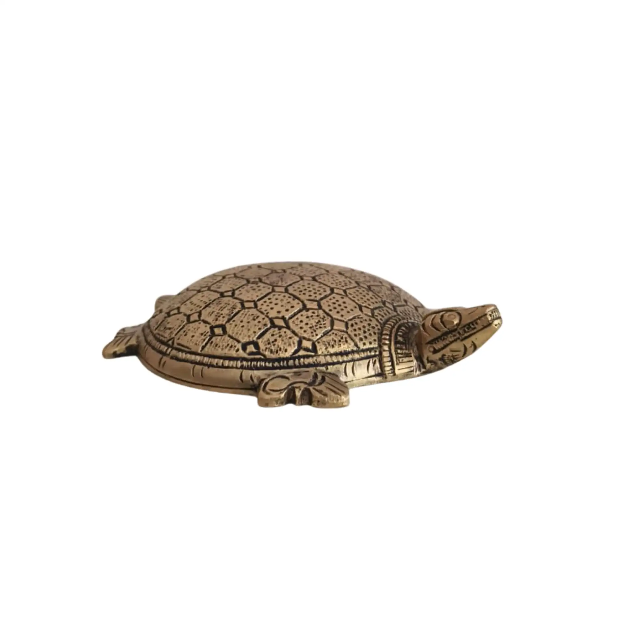 Decorative Brass Tortoise (Turtle) Showpiece - Image 6